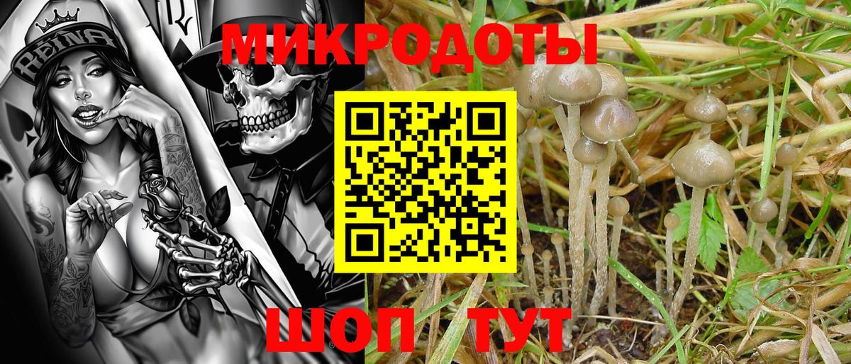 Галлюциногенные грибы прущие грибы  Вход с VPN  цена наркотик  Лосино-Петровский  Галлюциногенные грибы мицелий 