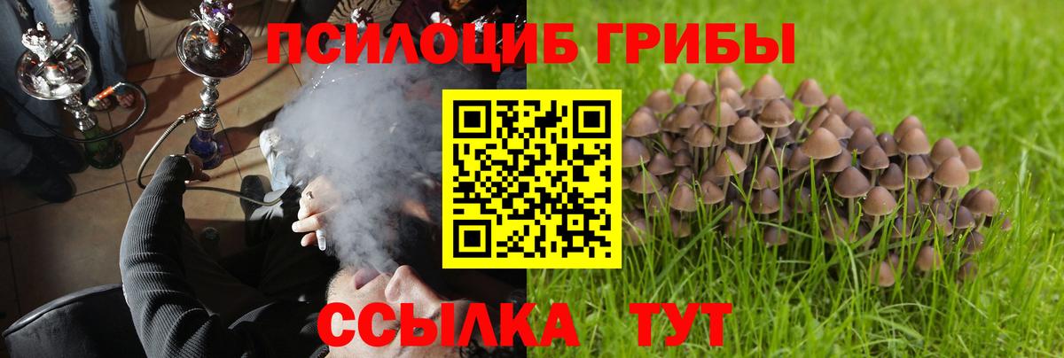 Галлюциногенные грибы MAGIC MUSHROOMS Лосино-Петровский